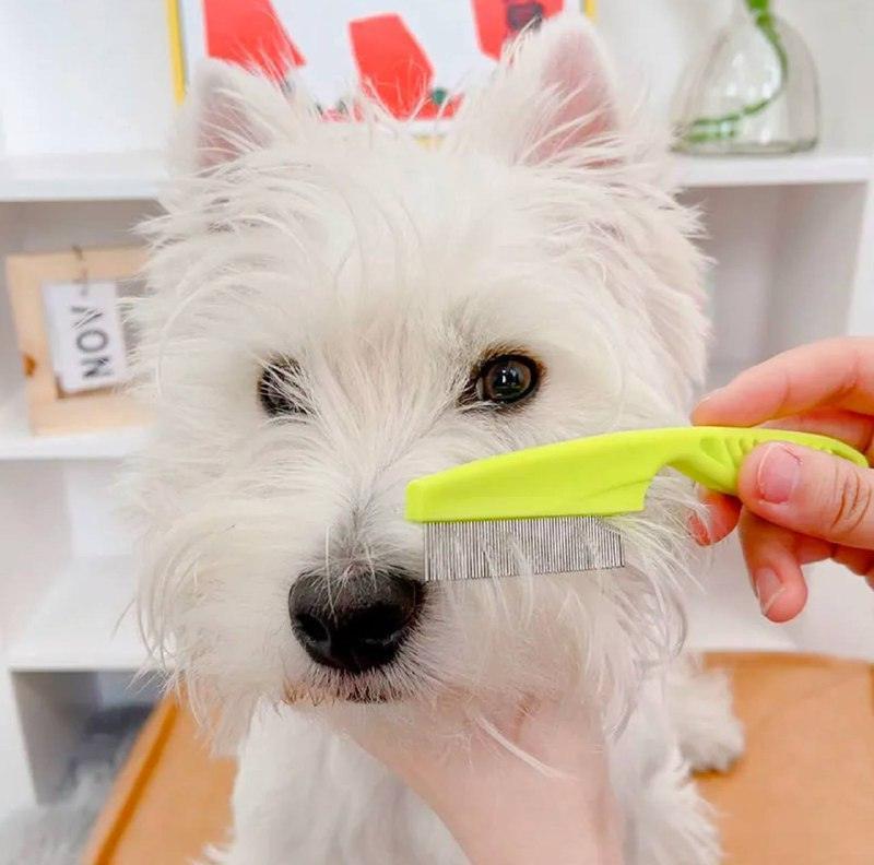 Pet Hair Remover & Flea Cleaner - Grooming Shampoo Bath Brush - ClubOn