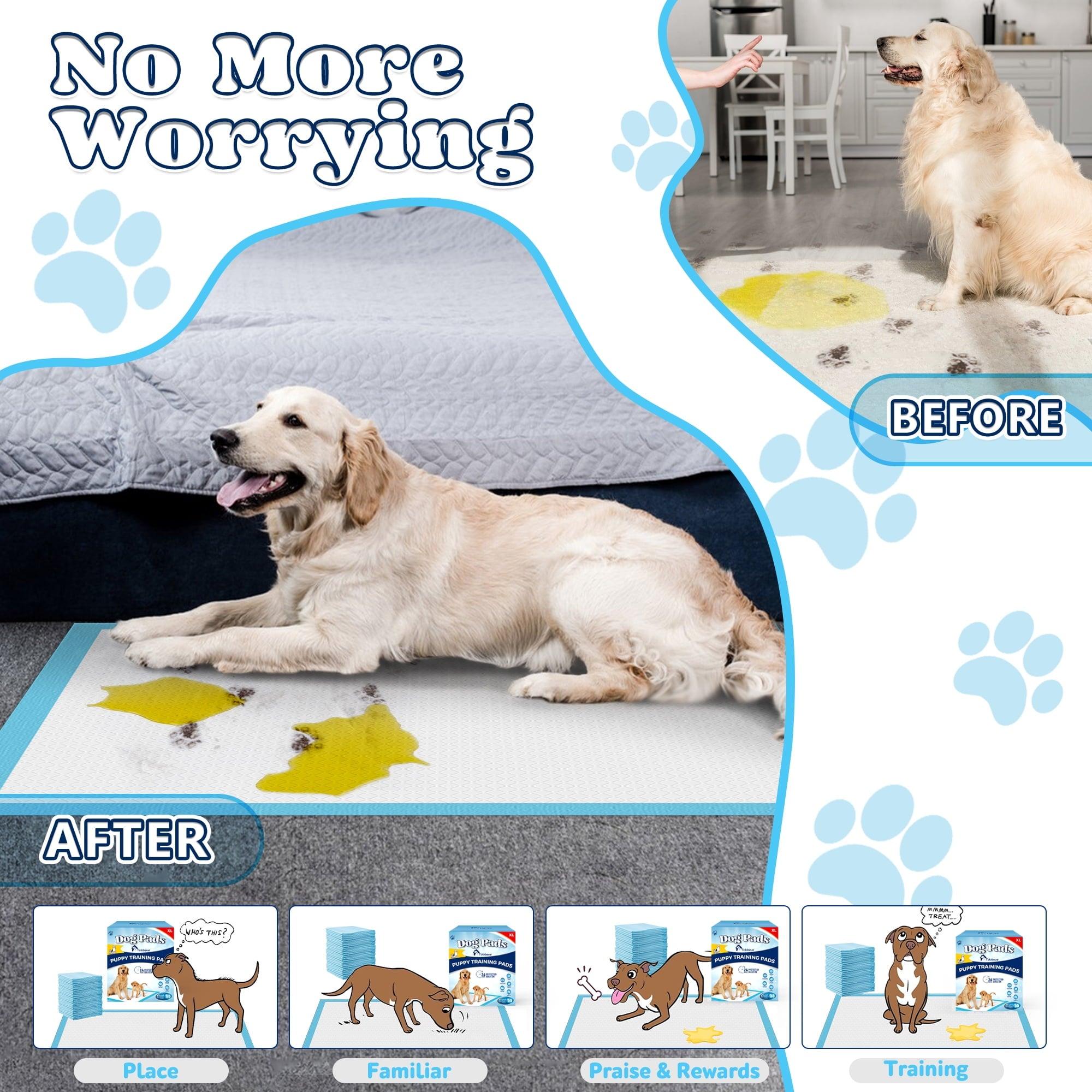Tolobeve Dog Training Pads, XL, 26x30 in, 55 Count, Disposable Puppy Pee Pads - ClubOn