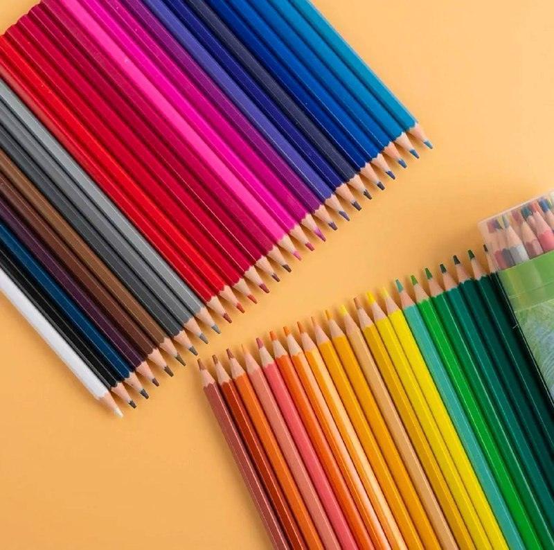 48-Color Pencil Set for Students - Ideal for Painting & Drawing - ClubOn