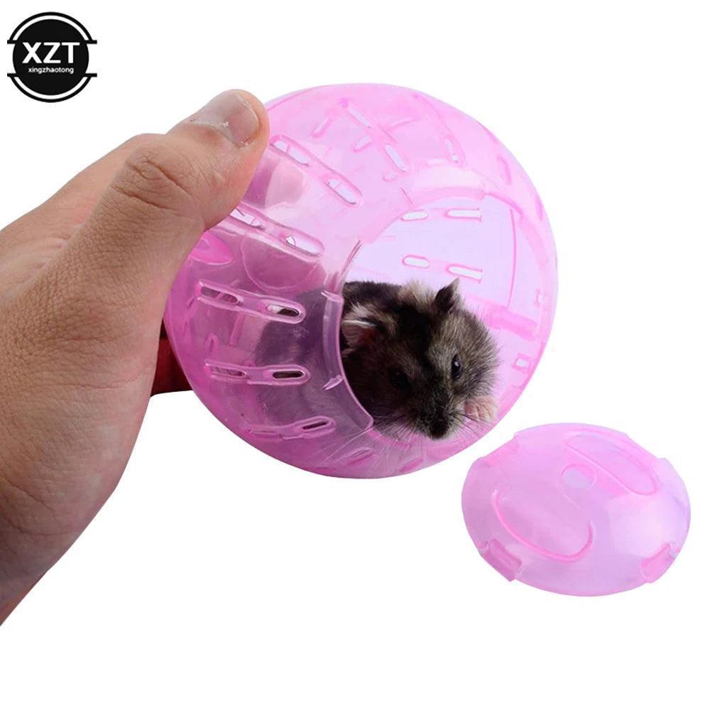 Outdoor Sport Ball for Small Pets - ClubOn