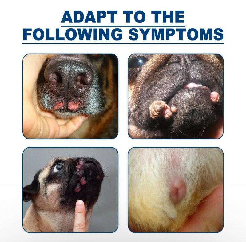 Pet Warts Remover Liquid - Skin Care for Dogs and Cats - ClubOn