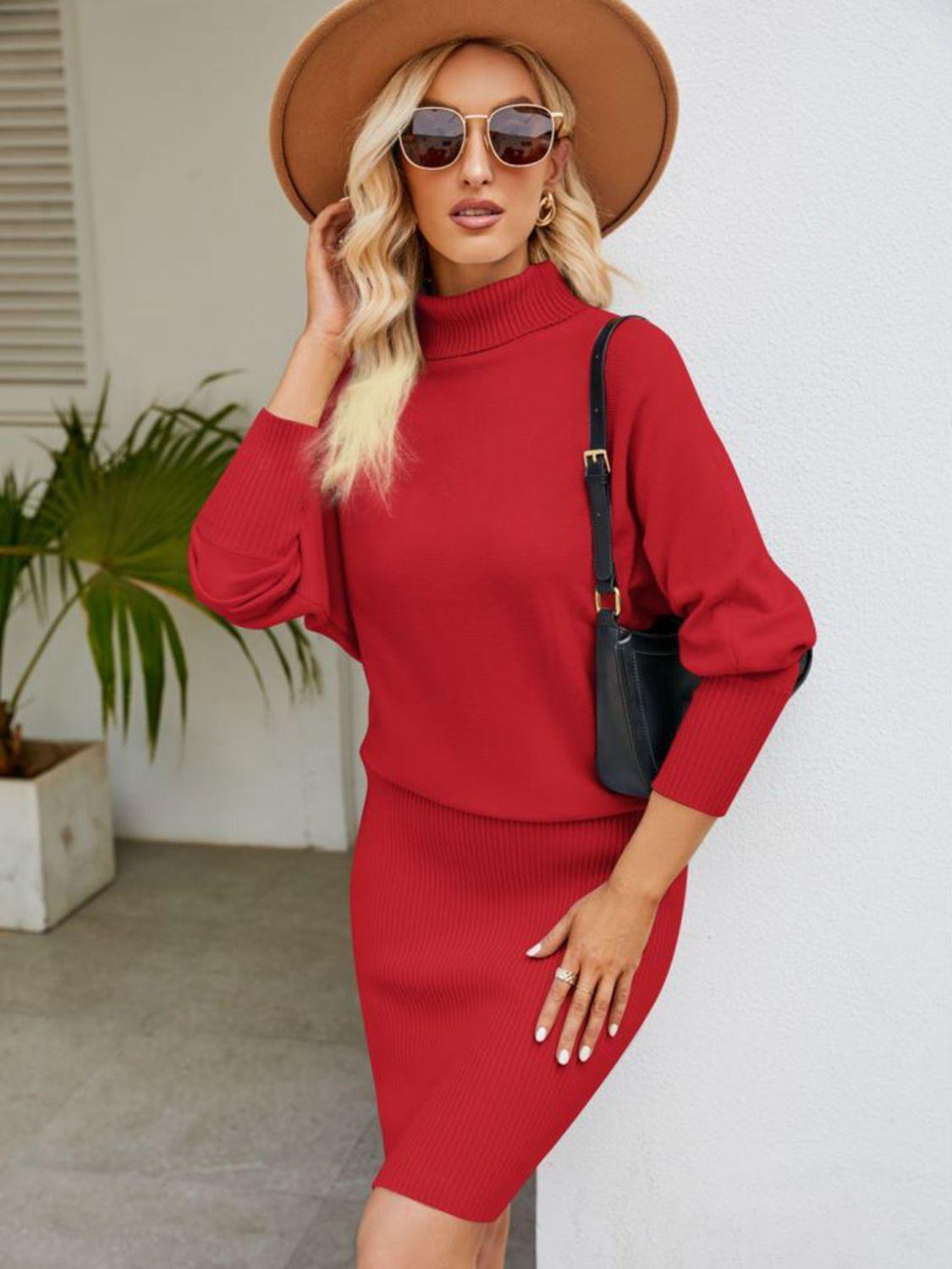Turtle Neck Long Sleeve Ribbed Sweater Dress - ClubOn