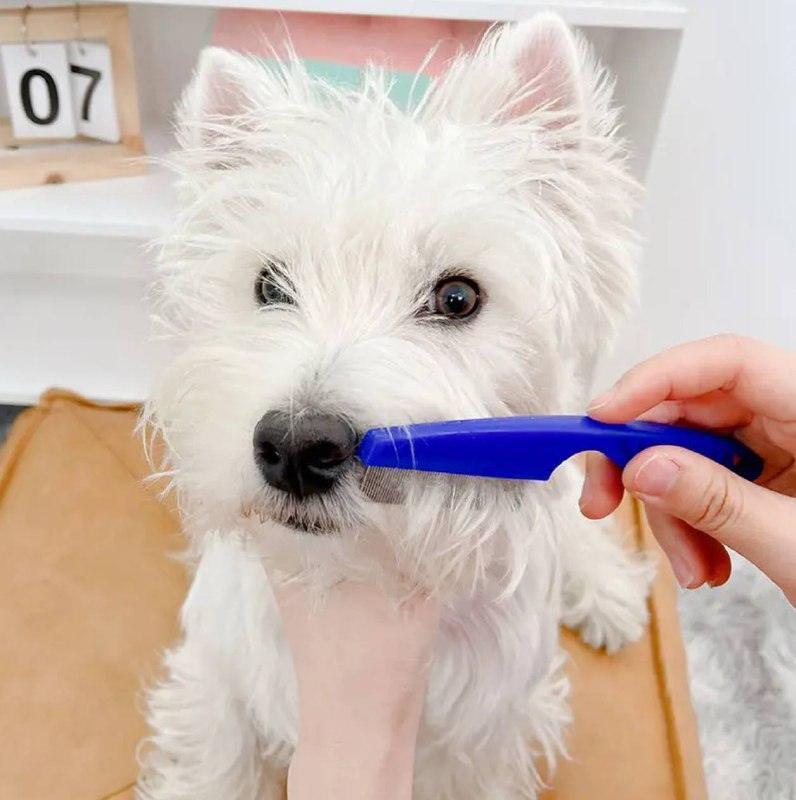 Pet Hair Remover & Flea Cleaner - Grooming Shampoo Bath Brush - ClubOn