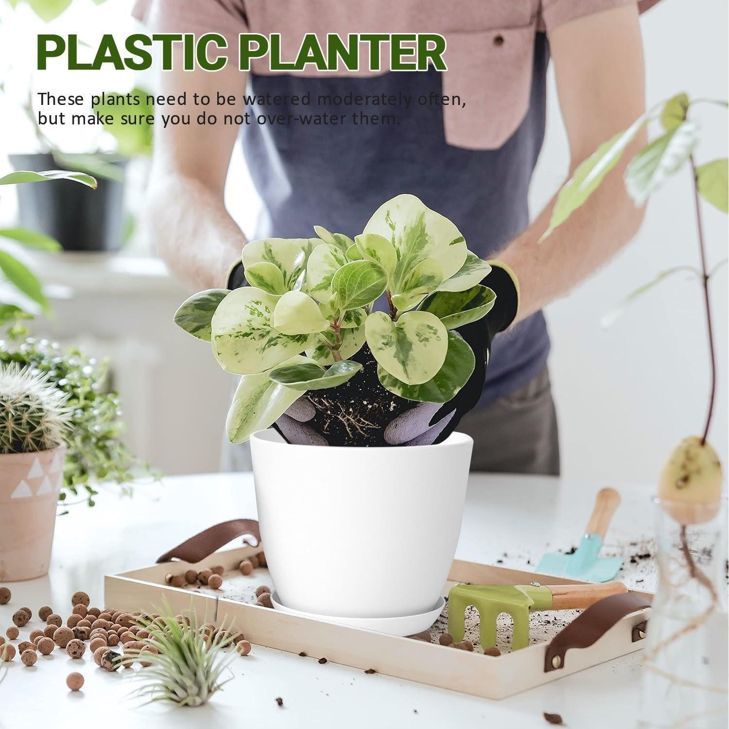 FOUKUS Set of 5 White Plastic Plant Pots with Drainage Holes & Tray - Eco-Friendly Indoor/Outdoor Planters for Succulents, Cactus, Snake Plants - ClubOn