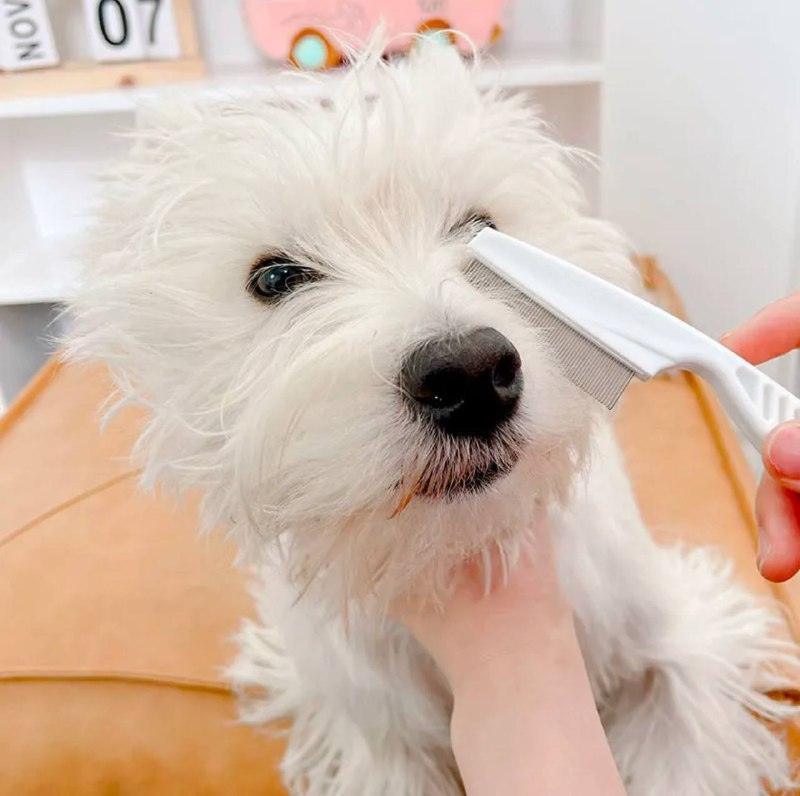 Pet Hair Remover & Flea Cleaner - Grooming Shampoo Bath Brush - ClubOn