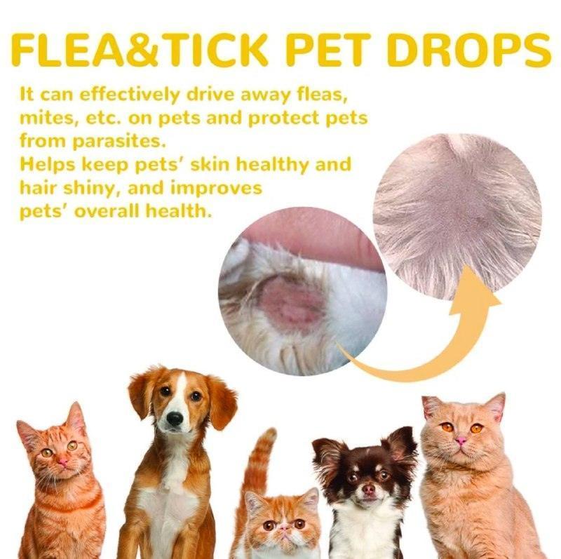 1ml Natural Care Pet Flea & Tick Spray - Dog Itching Relief - ClubOn