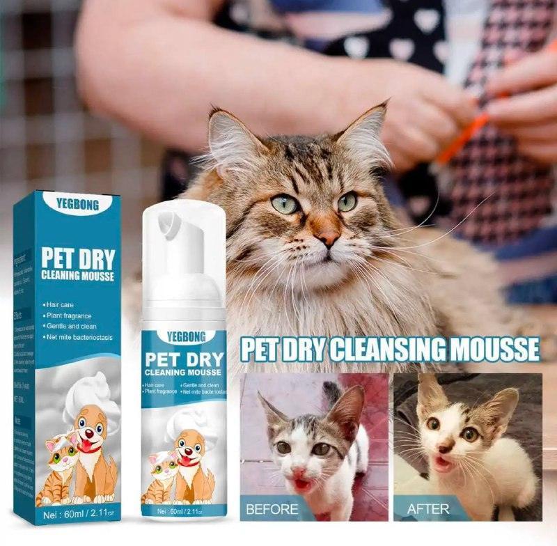 Waterless Cat Shampoo | 60ml Pet Cleaning Mousse - ClubOn