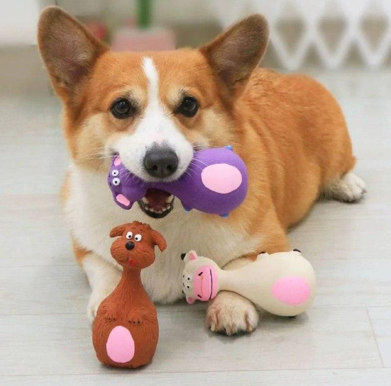 Bite-Resistant Dog Toys - Plush Molar Dolls for Puppies - ClubOn