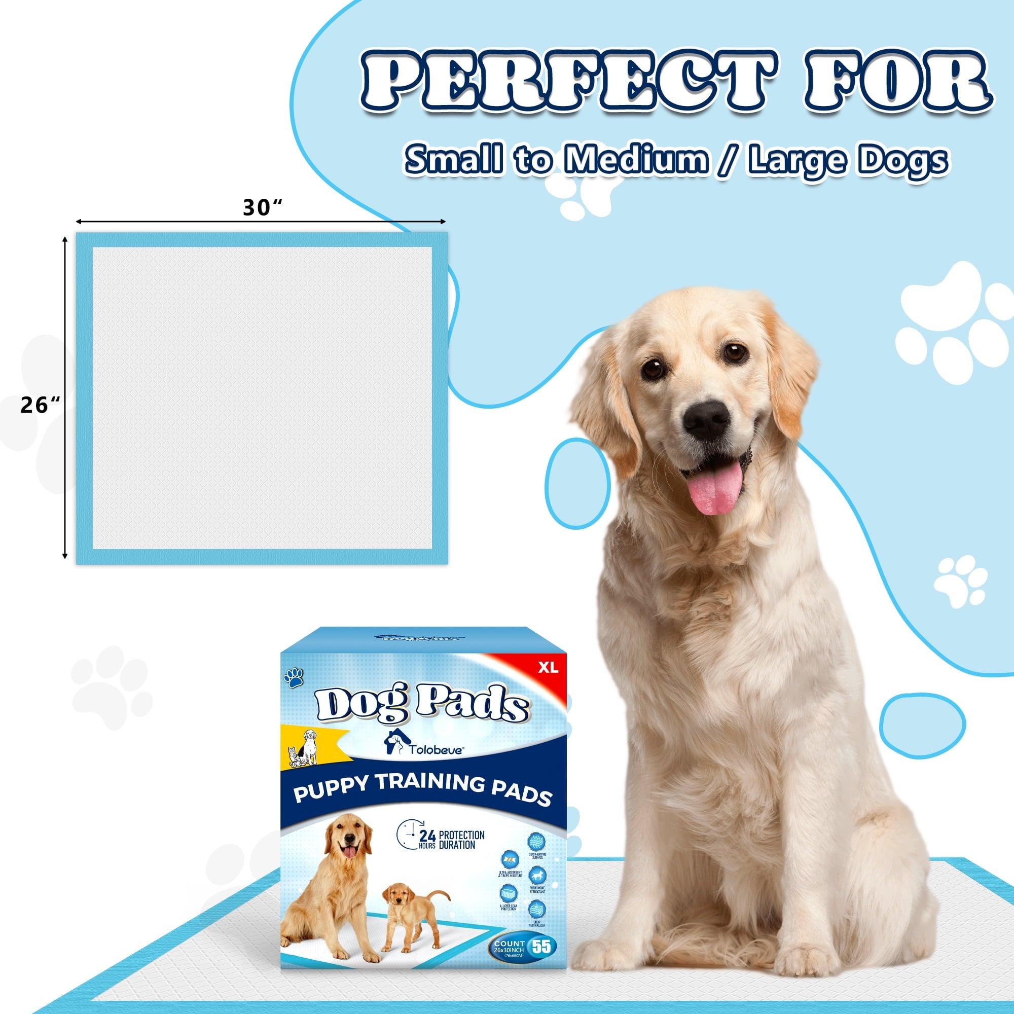 Tolobeve Dog Training Pads, XL, 26x30 in, 55 Count, Disposable Puppy Pee Pads - ClubOn