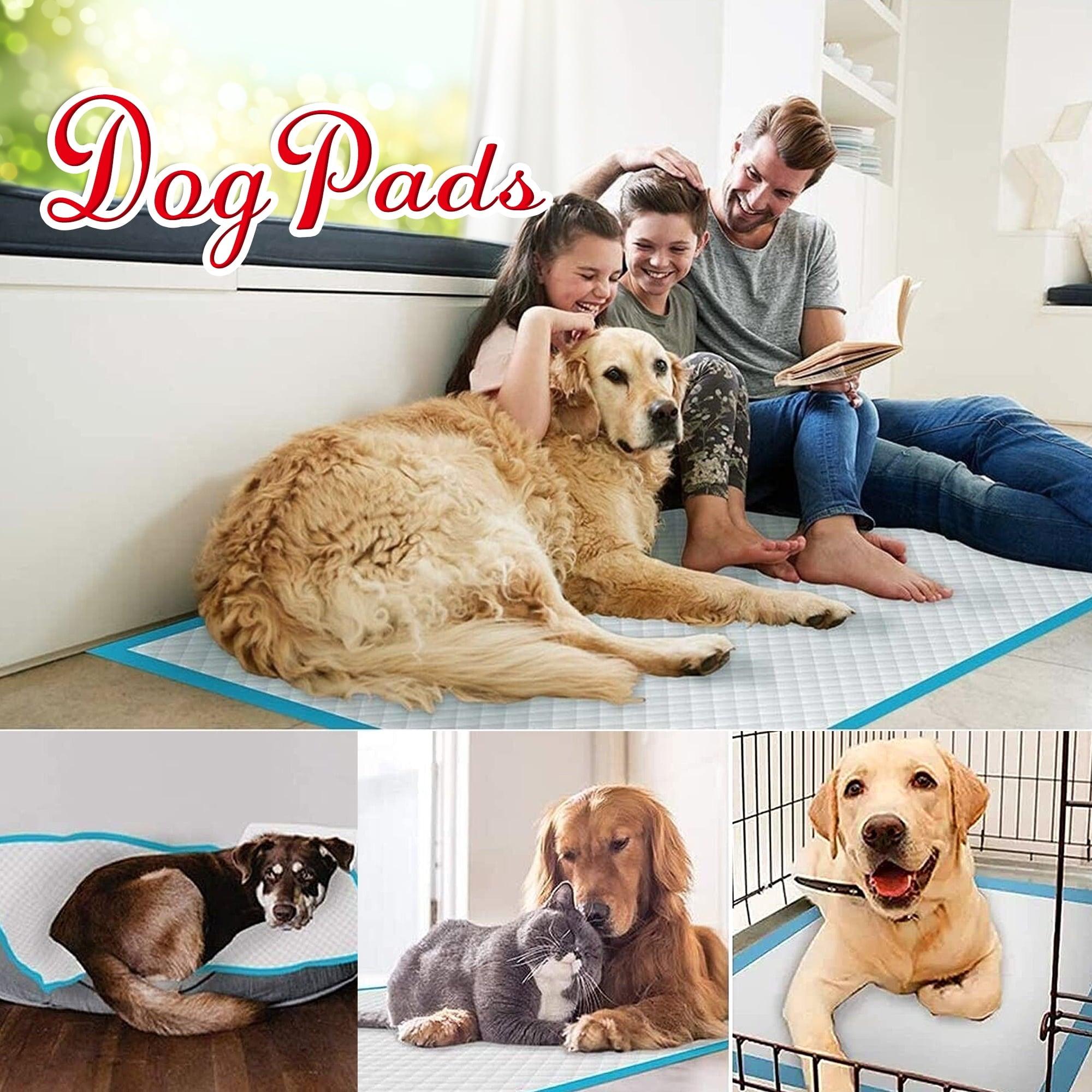 Tolobeve Dog Training Pads, XXL, 30x36 in, 60 Count, Disposable Puppy Pee Pads - ClubOn