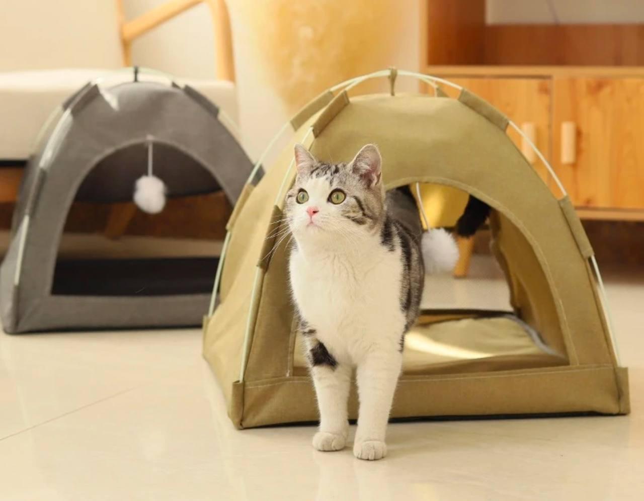 Winter Cat Tent Bed | Warm Cushions & Clamshell Sofa Basket - ClubOn