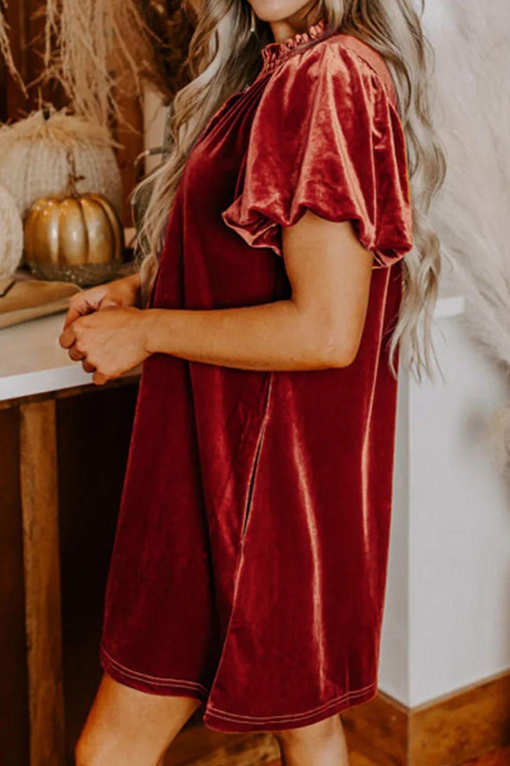 Velvet Tie Neck Short Sleeve Mini Dress - ClubOn