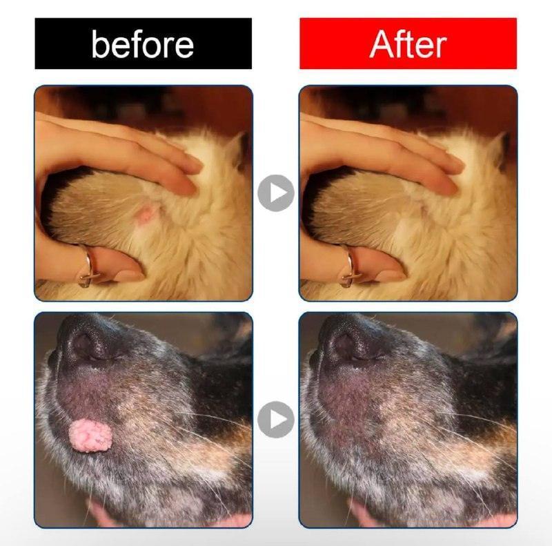 Pet Warts Remover Liquid - Skin Care for Dogs and Cats - ClubOn