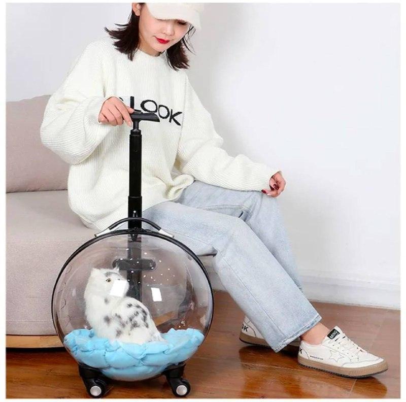 Transparent Capsule Pet Travel Trolley – For Puppies, Dogs & Cats - ClubOn