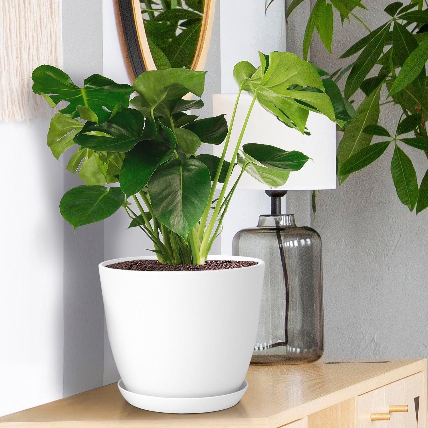 FOUKUS Set of 5 White Plastic Plant Pots with Drainage Holes & Tray - Eco-Friendly Indoor/Outdoor Planters for Succulents, Cactus, Snake Plants - ClubOn