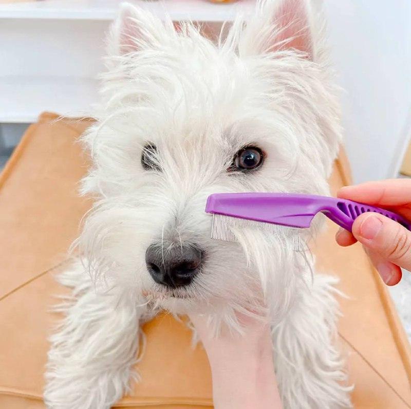 Pet Hair Remover & Flea Cleaner - Grooming Shampoo Bath Brush - ClubOn