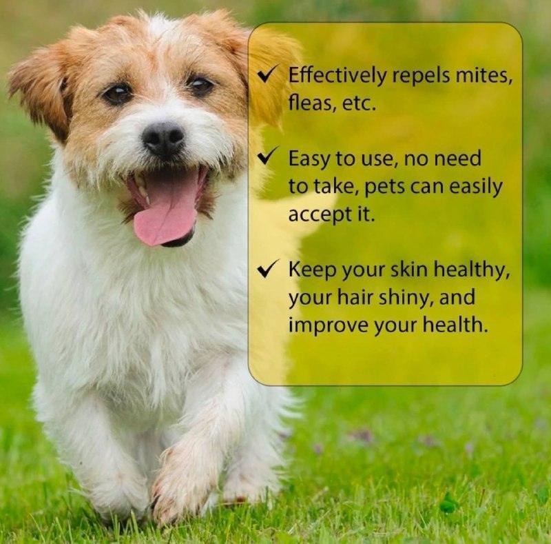 1ml Natural Care Pet Flea & Tick Spray - Dog Itching Relief - ClubOn