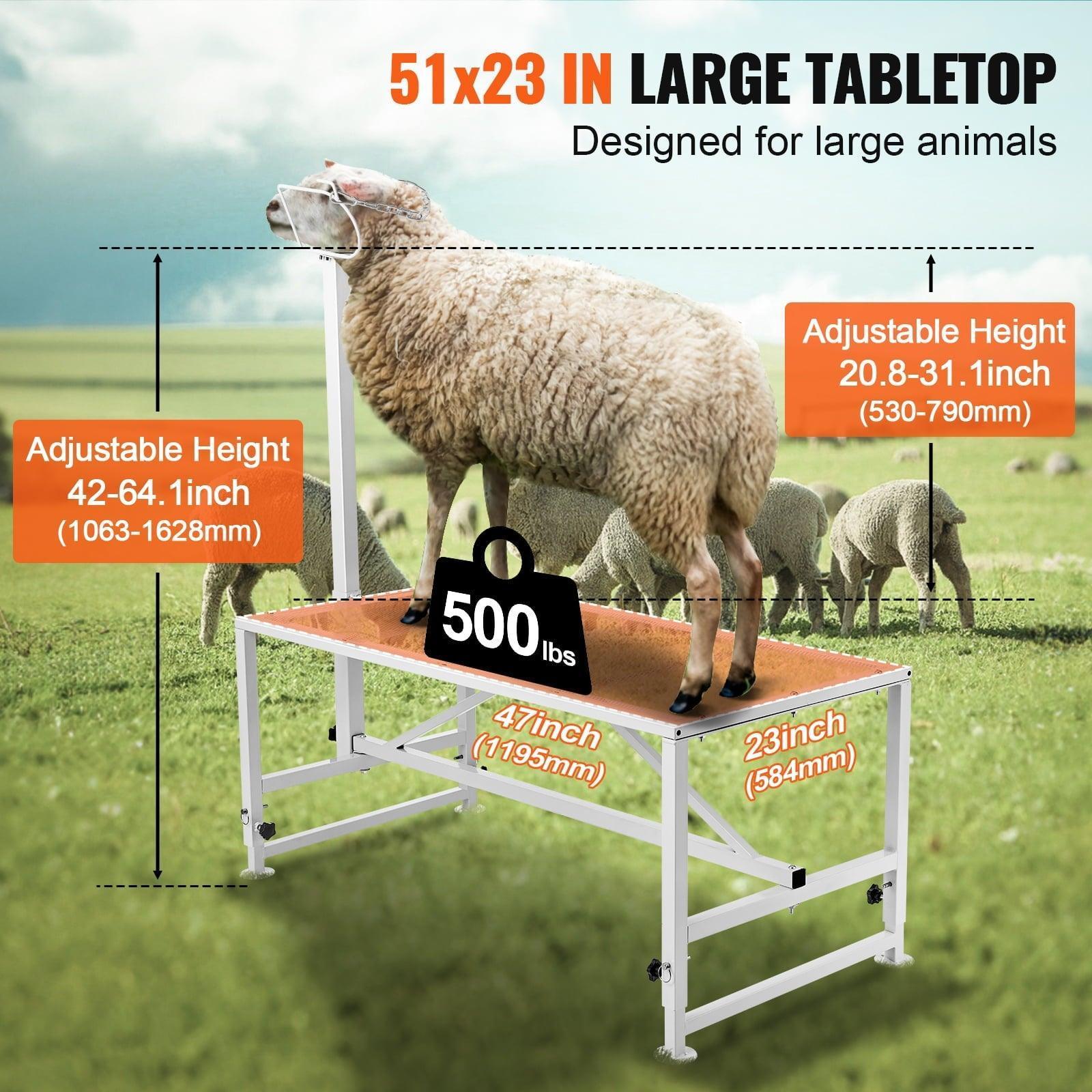 SKYSHALO Livestock Stand for Goats & Sheep – 47