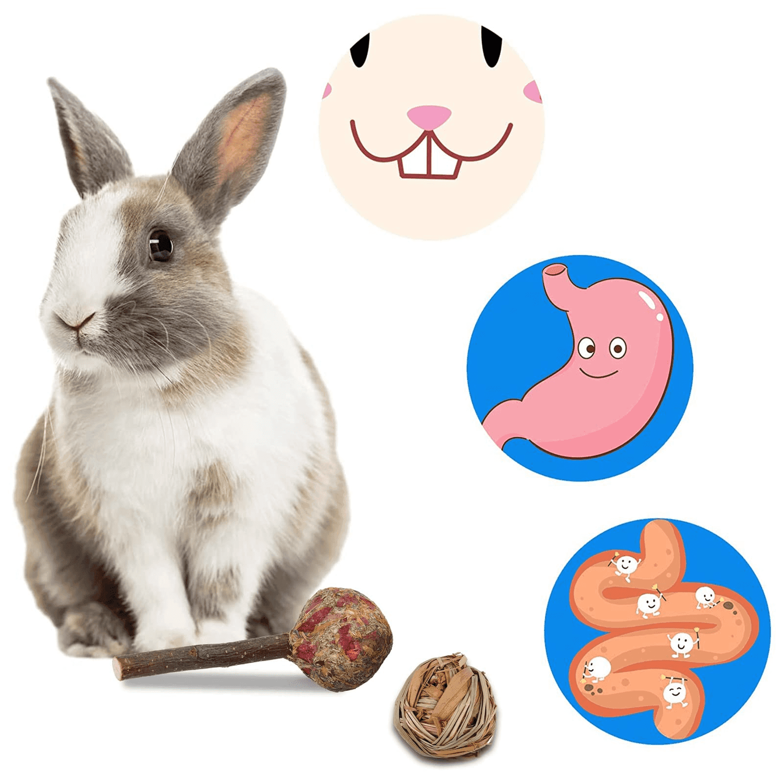Springcorner 14Pcs Rabbit Toy for Teeth, Chew Toys for Rabbits, Guinea Pigs, Chinchillas, Loofah Wood Balls & Sticks - ClubOn