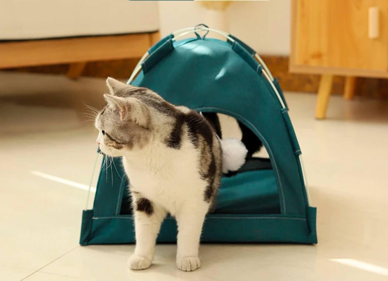 Winter Cat Tent Bed | Warm Cushions & Clamshell Sofa Basket - ClubOn