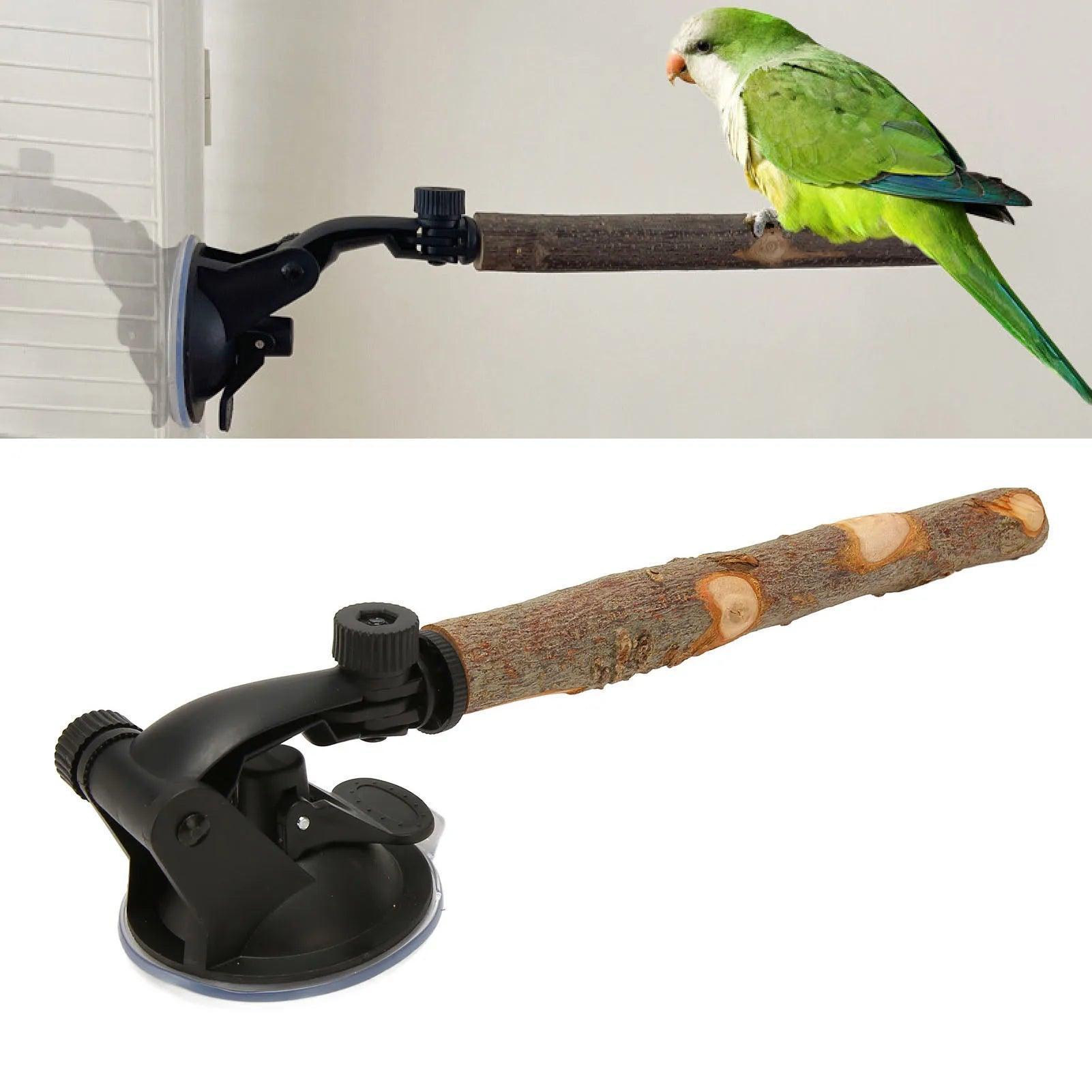 Wood Bird Standing Stick Perch with Suction Cups – Non-Slip Window Perch for Small & Medium Birds - ClubOn