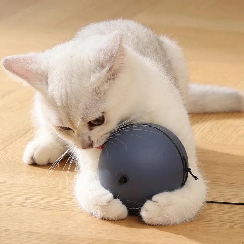 Mouse Teaser Ball for Cats & Dogs - ClubOn