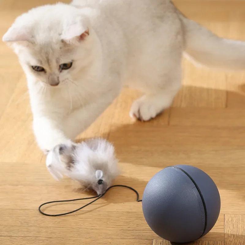 Mouse Teaser Ball for Cats & Dogs - ClubOn