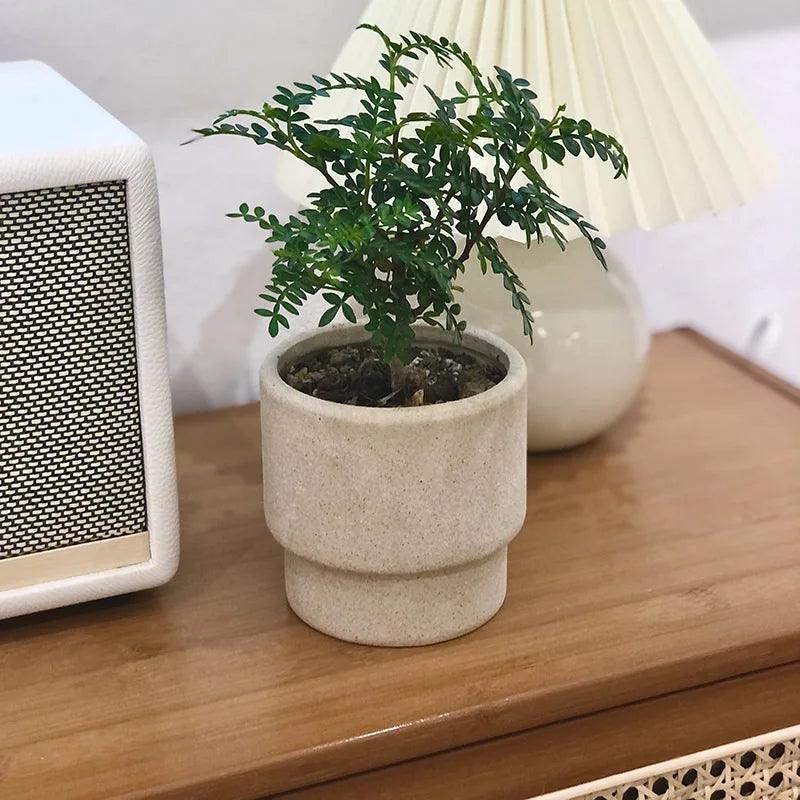 Elegant Ceramic Flower Pot for Green Plants - ClubOn