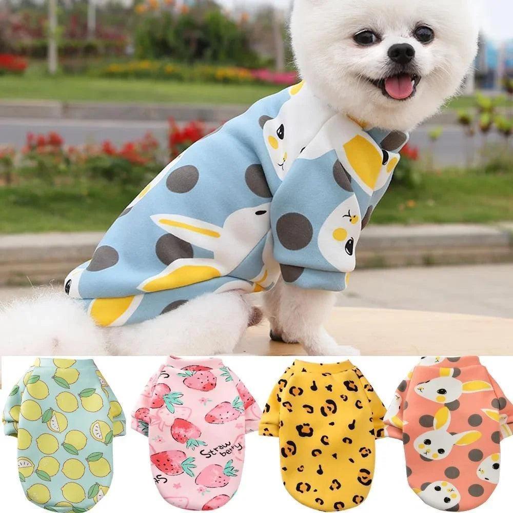Chihuahua Dog Sweatshirt – Warm Hoodie for Small Dogs - ClubOn