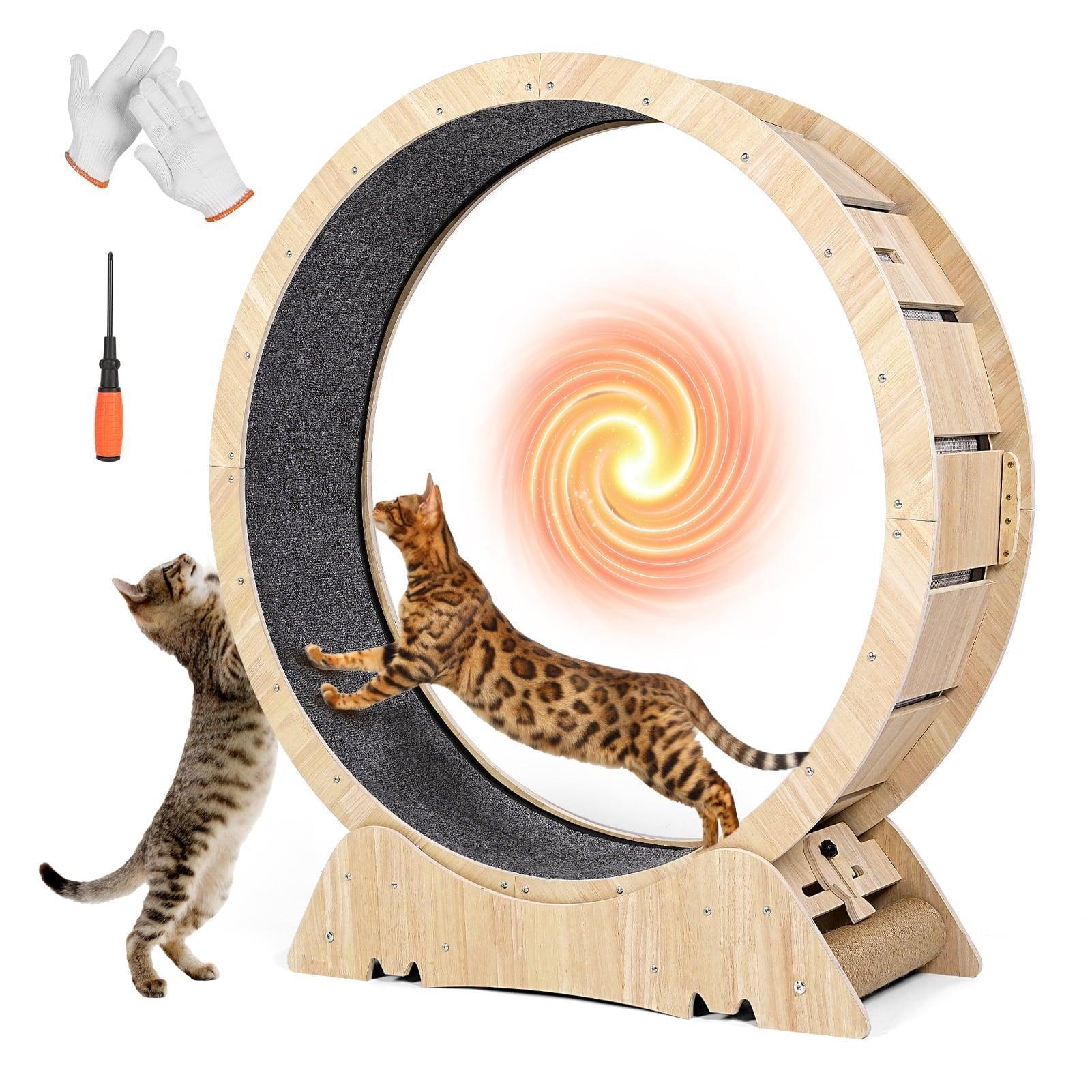 Cat Exercise Wheel for Indoor Cat, 45" XL Running Wheel with Carpeted Runway, Natural Wood Color - ClubOn