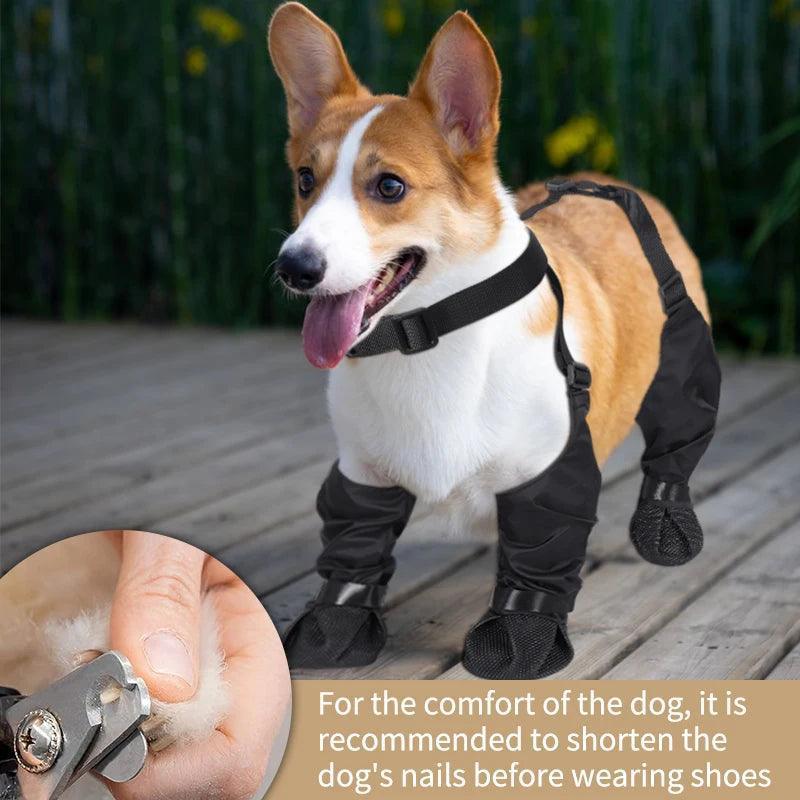 Waterproof Adjustable Dog Shoes – Breathable & Anti-Slip - ClubOn