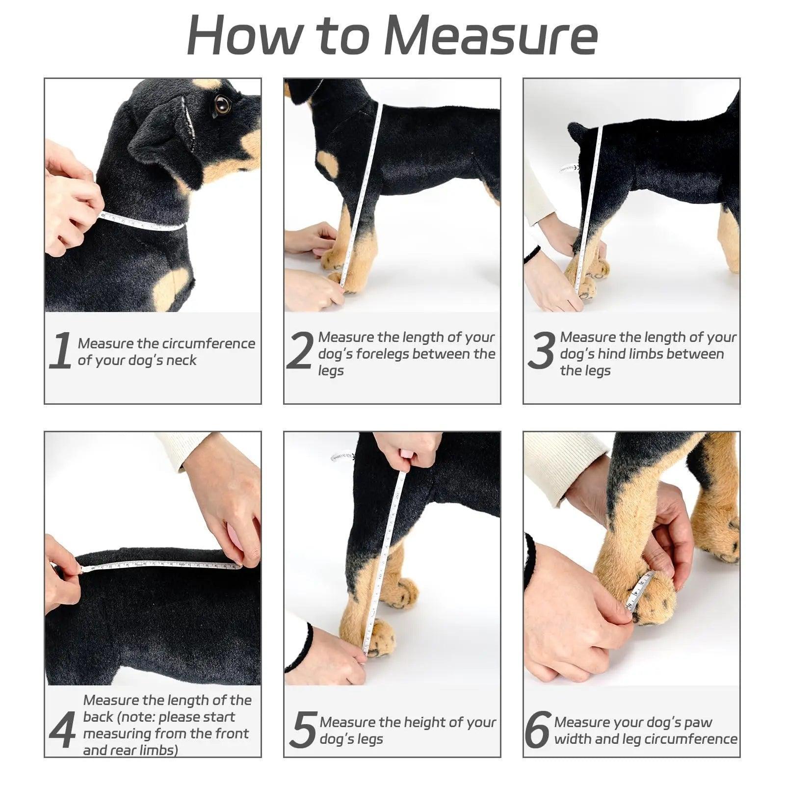 Waterproof Adjustable Dog Shoes – Breathable & Anti-Slip - ClubOn