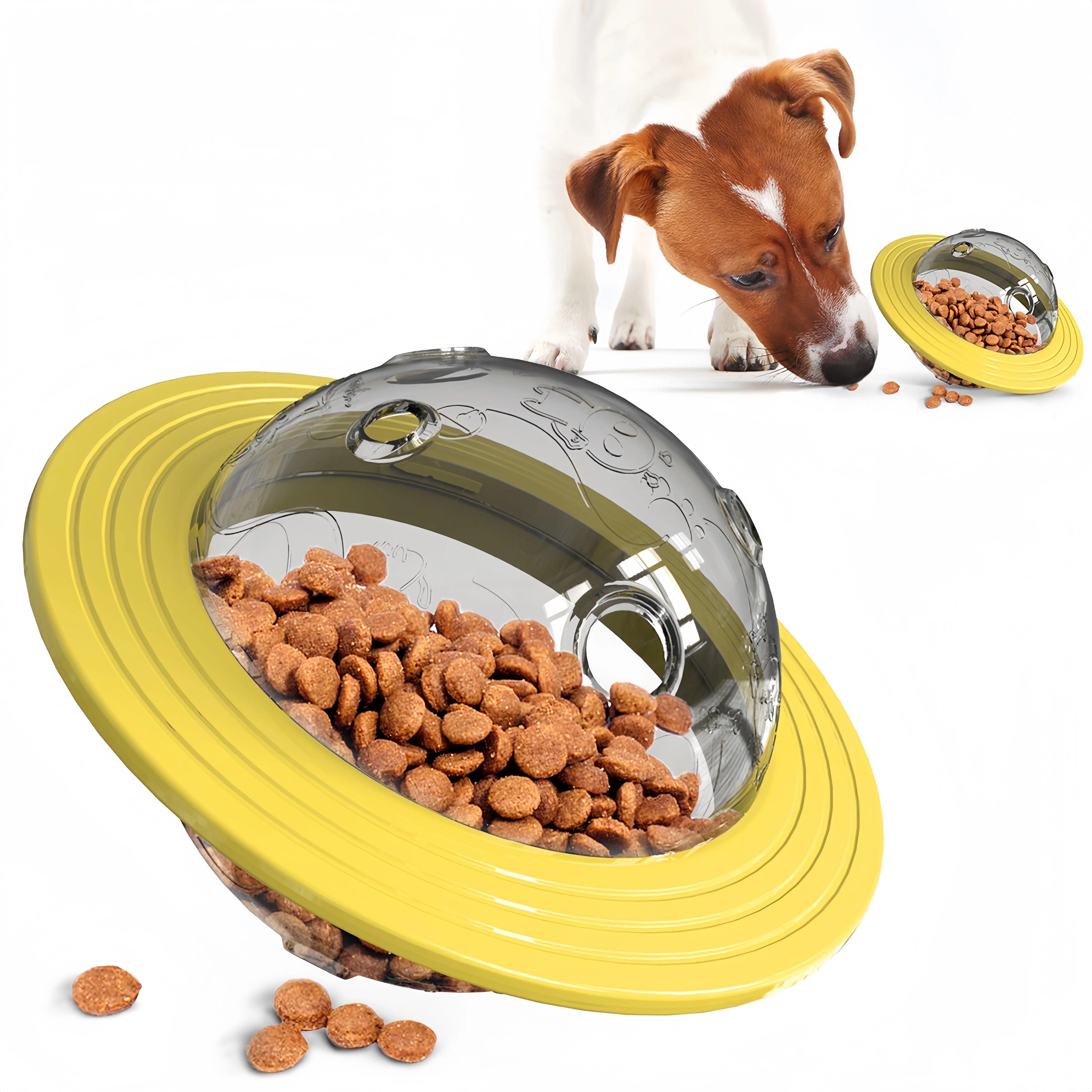 Elliptical Track Rolling Ball Dog Toy - ClubOn