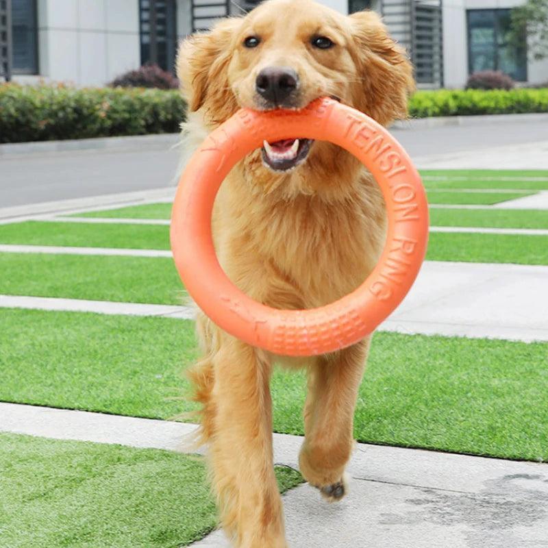 Floating Dog Flying Disk & Training Ring - ClubOn