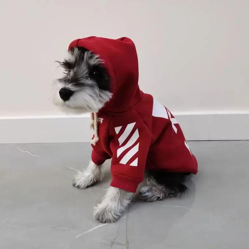 Trendy Red Cotton Sweater for Dogs & Cats - ClubOn