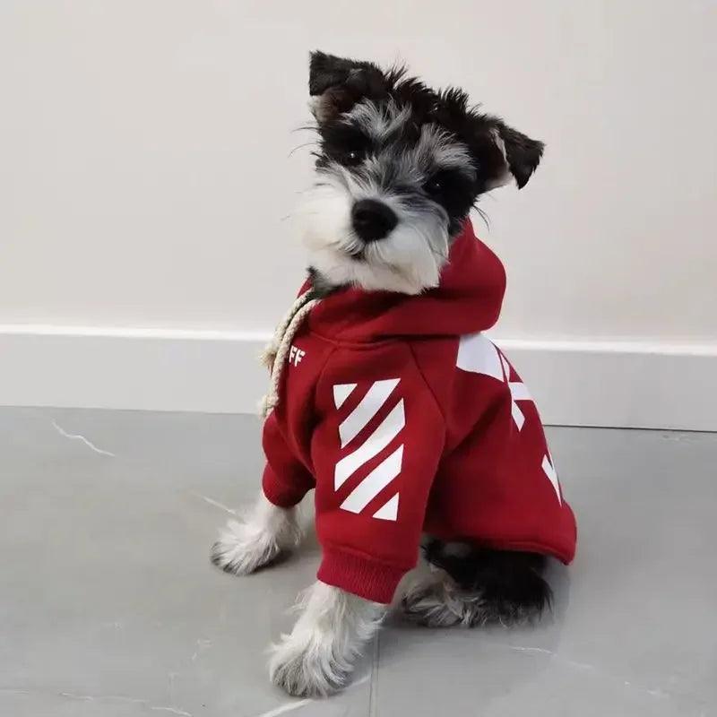 Trendy Red Cotton Sweater for Dogs & Cats - ClubOn