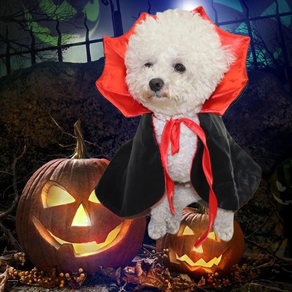 Vampire Halloween Cape for Small & Medium Dogs - ClubOn