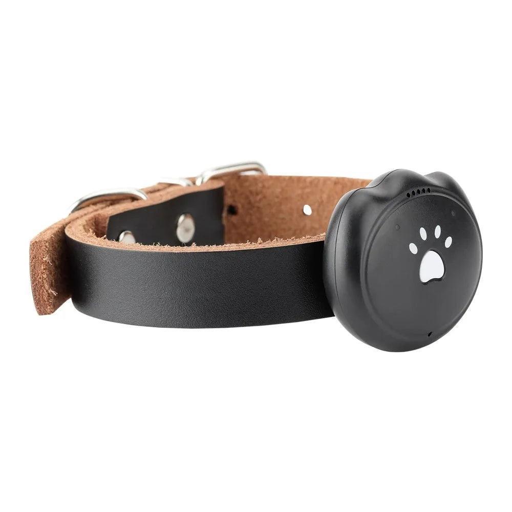 Waterproof Mini GPS Collar - ClubOn