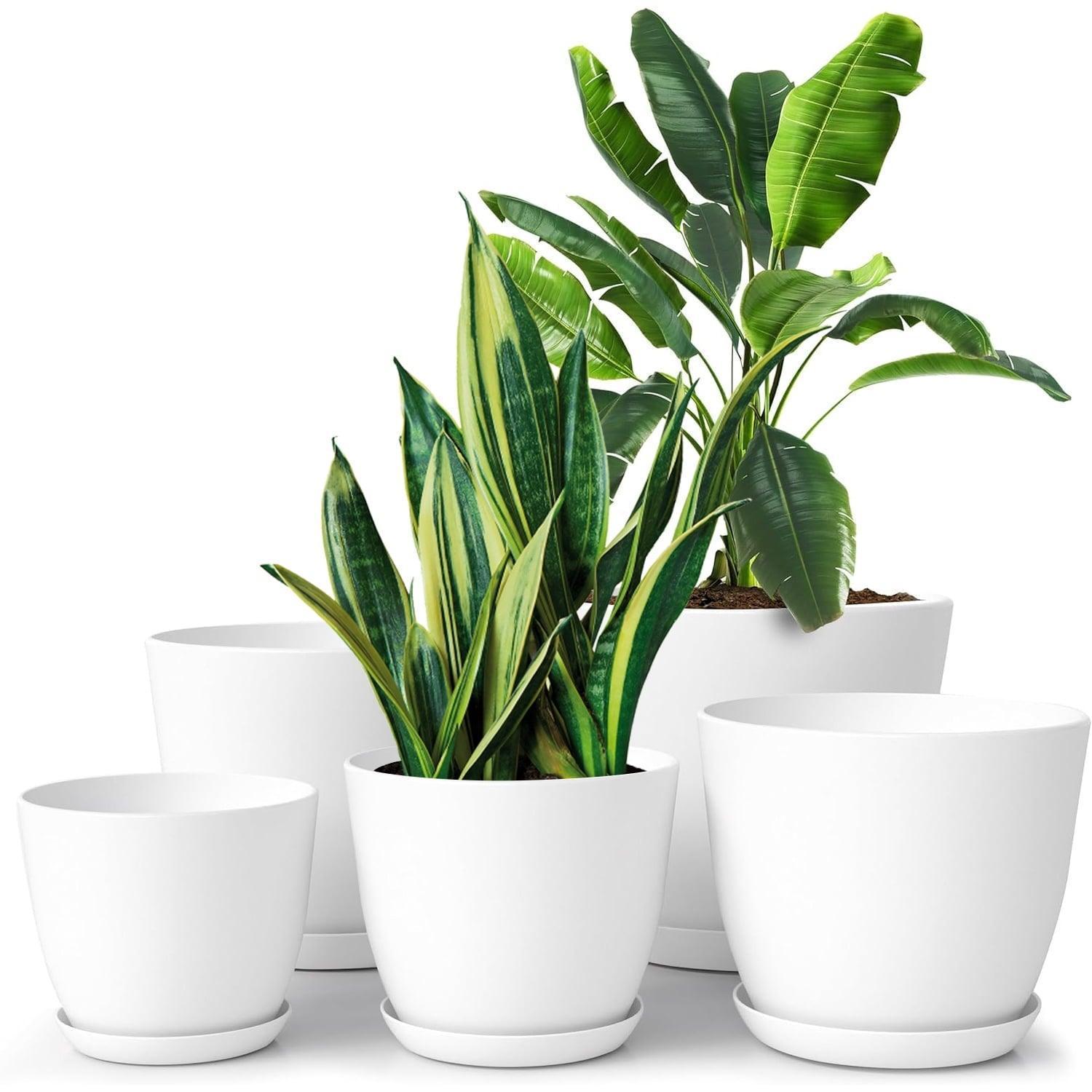 FOUKUS Set of 5 White Plastic Plant Pots with Drainage Holes & Tray - Eco-Friendly Indoor/Outdoor Planters for Succulents, Cactus, Snake Plants - ClubOn