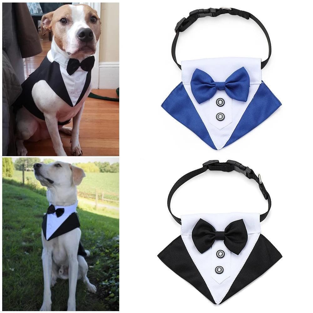 Adjustable White Collar Pet Accessories - Tuxedo Bow Tie - ClubOn