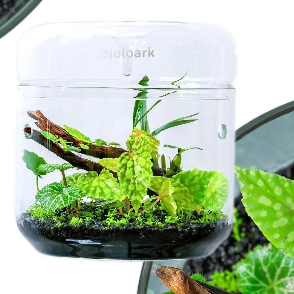 Landscape Moss Vase - Eco-Friendly Indoor Plant Pot - ClubOn