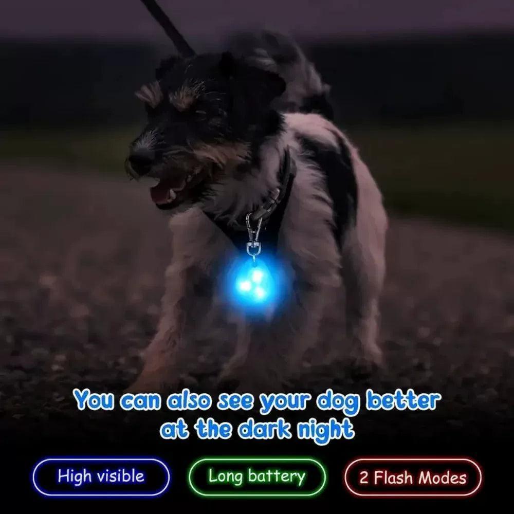 LED Pet Pendant Collar - Waterproof, Outdoor Safety Light for Dogs - ClubOn
