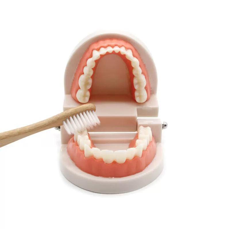 Montessori Educational Toys for Children – Early Learning Kids - ClubOn