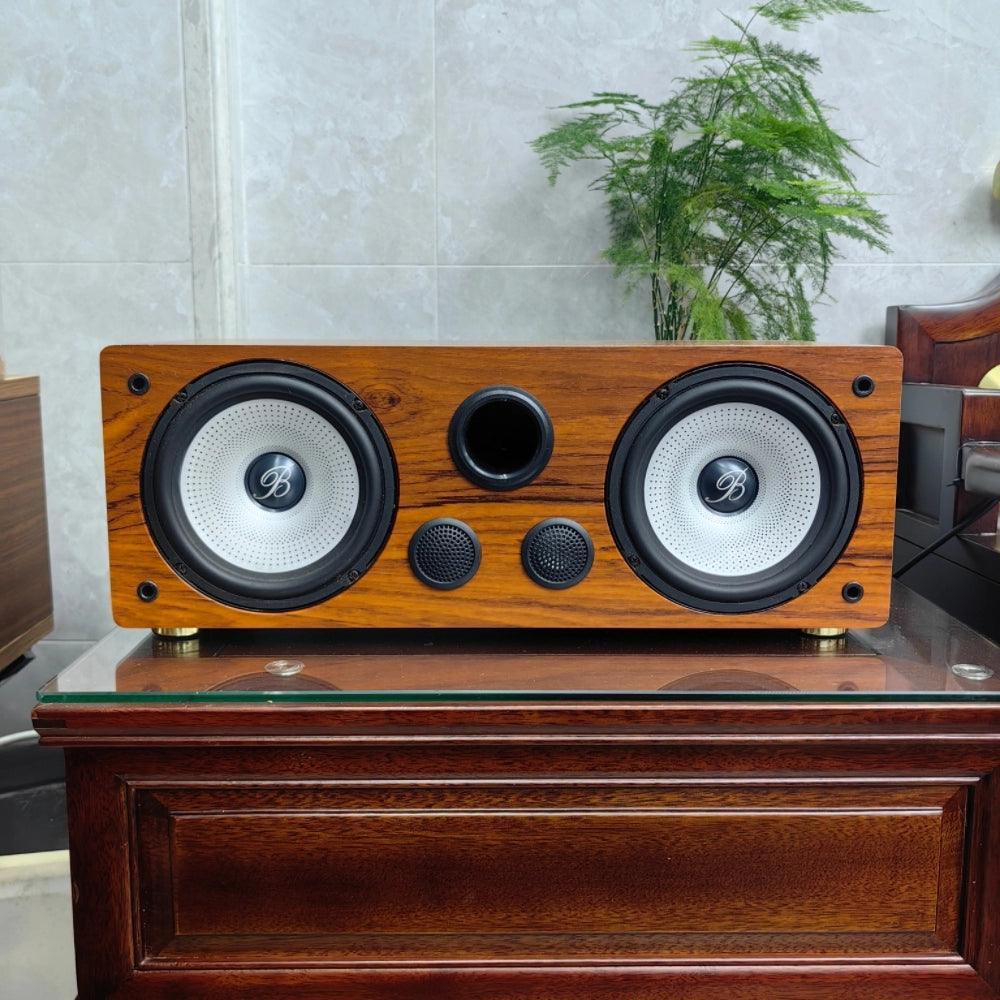 Berlin Sound DIY Home Fever-Grade 3-Way Bookshelf HIFI Speaker – 6.5-Inch with Built-In Amplifier - ClubOn