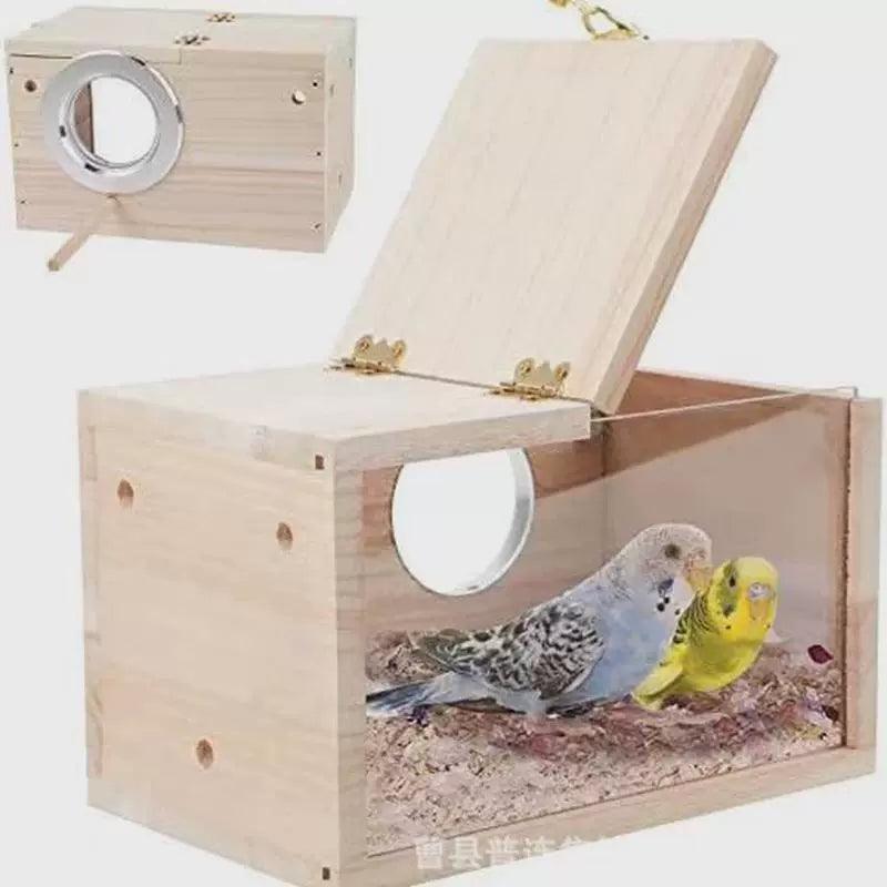 Transparent Wooden Bird House – Perfect for Finches & Small Parrots - ClubOn