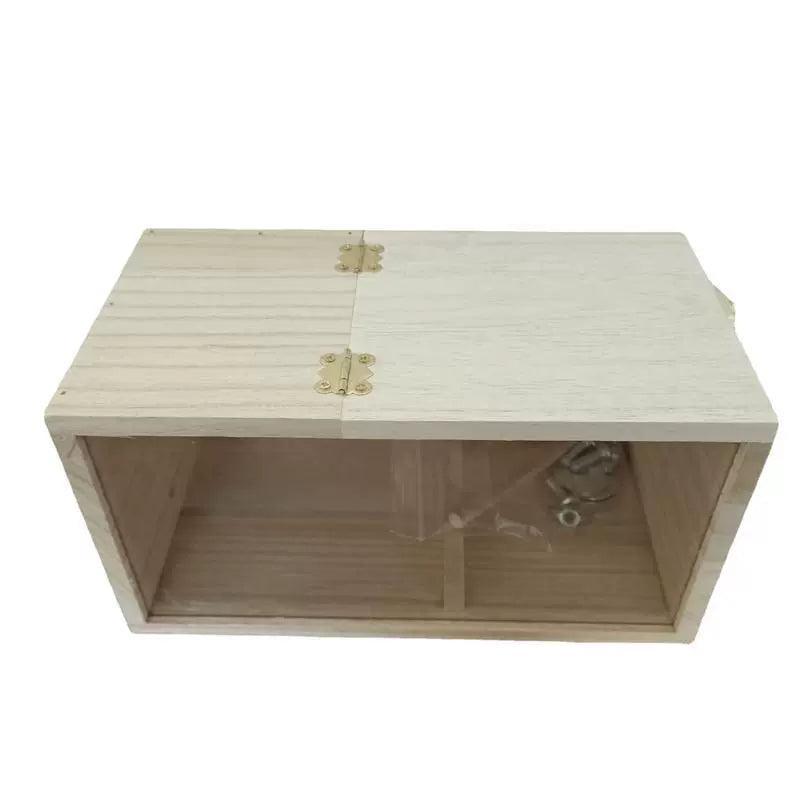 Transparent Wooden Bird House – Perfect for Finches & Small Parrots - ClubOn