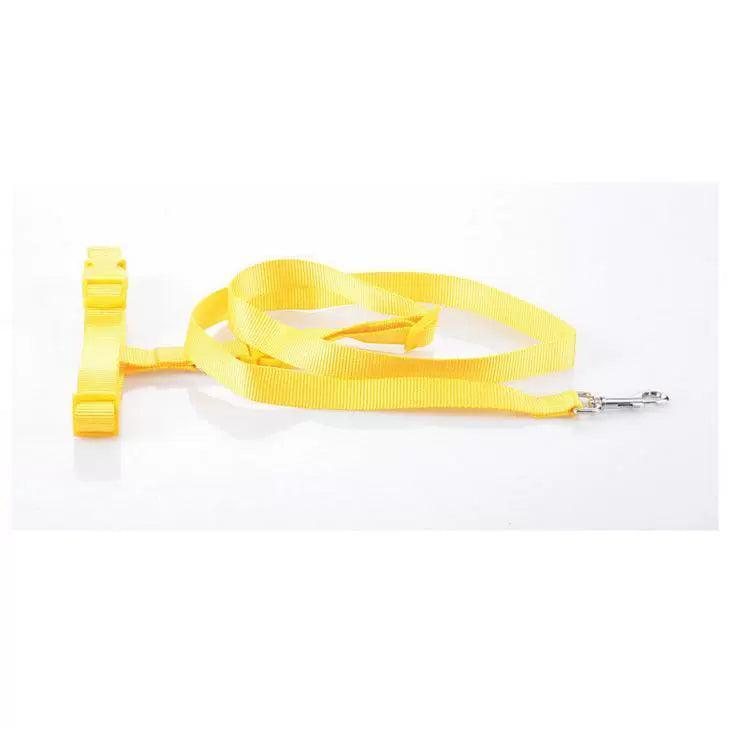 Adjustable Running Pet Traction Rope – Outdoor Dog Training Leash - ClubOn