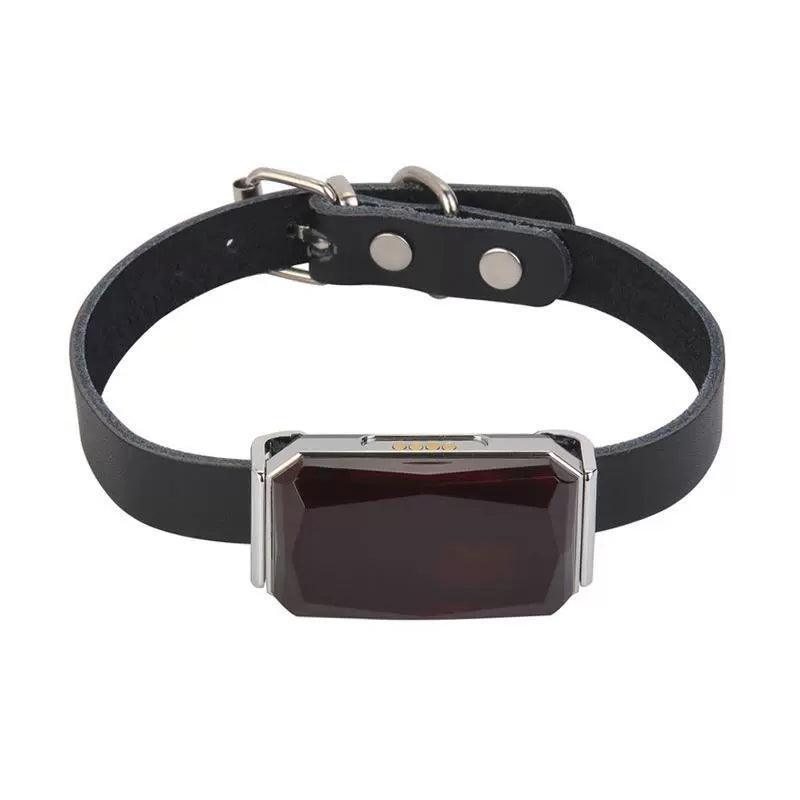 G12 Smart GPS Collar Locator - Waterproof Anti-Lost & Anti-Theft Tracker - ClubOn
