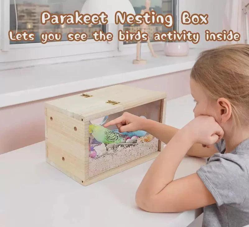 Transparent Wooden Bird House – Perfect for Finches & Small Parrots - ClubOn