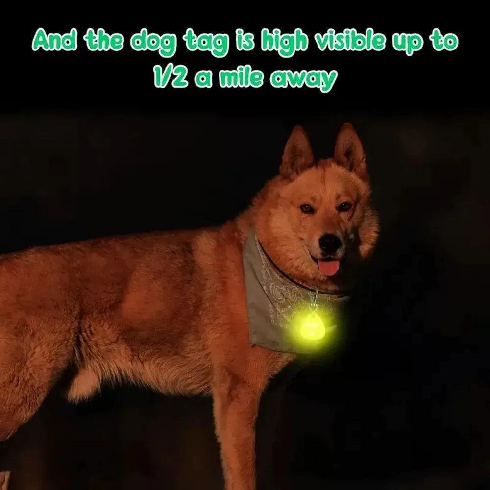 LED Pet Pendant Collar - Waterproof, Outdoor Safety Light for Dogs - ClubOn